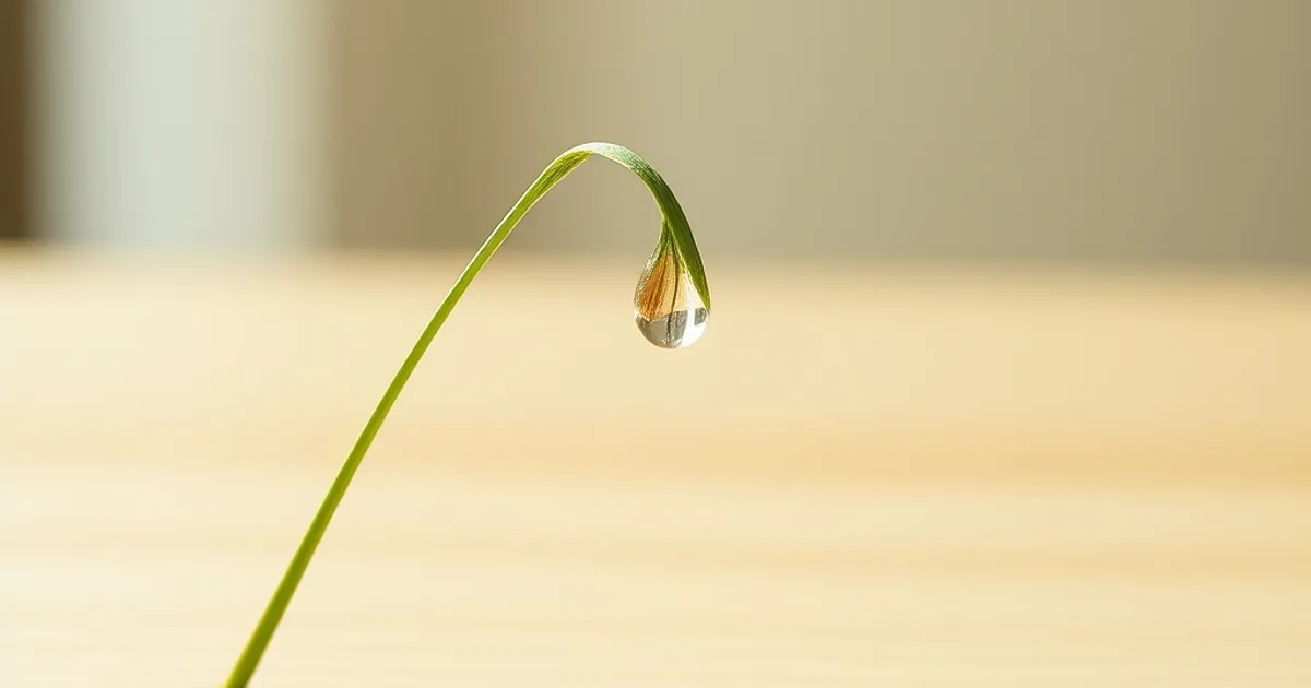 A single, unfurled water droplet clings to a blade of grass, suggesting fragile potential before absorption.